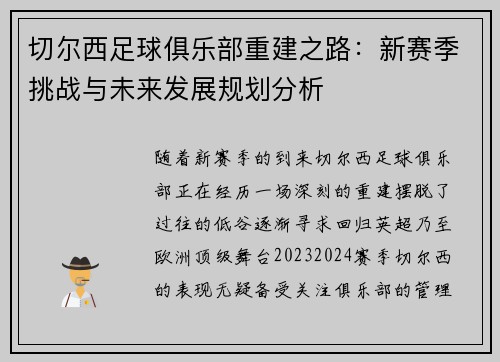 切尔西足球俱乐部重建之路：新赛季挑战与未来发展规划分析