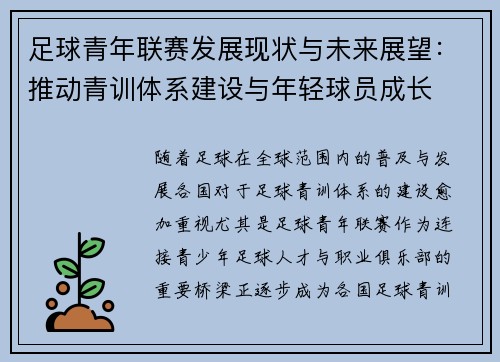 足球青年联赛发展现状与未来展望：推动青训体系建设与年轻球员成长