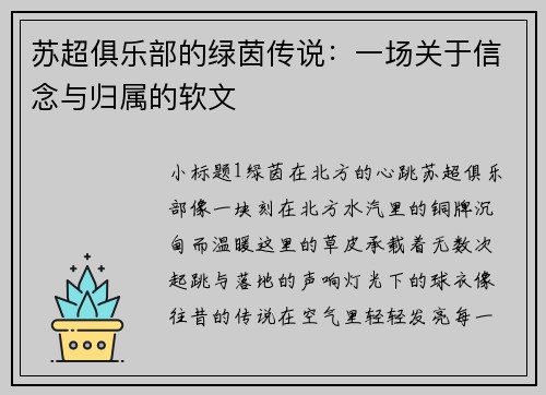 苏超俱乐部的绿茵传说：一场关于信念与归属的软文