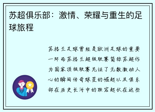 苏超俱乐部：激情、荣耀与重生的足球旅程